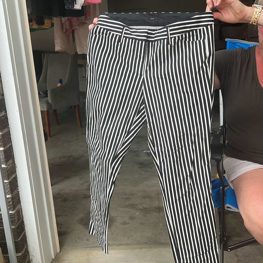 Dress Pants